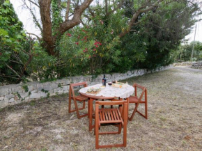 Отель Typical trullo with conical roof in excellent area close to the sea  Чистернино